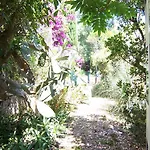 Andre Villa Porto-Vecchio (Corsica)